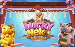 សំណាង Neko PG៖ ហ្គេមសកម្មភាពដ៏រំភើបសម្រាប់ Android