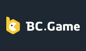 Everything You Need to Know About BCGameBet Everything You Need to Know About BCGameBet