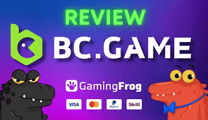 Everything You Need to Know About BCGameBet Everything You Need to Know About BCGameBet