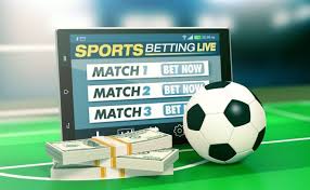 Experience Winning with 1xBet Your Gateway to Thrilling Betting